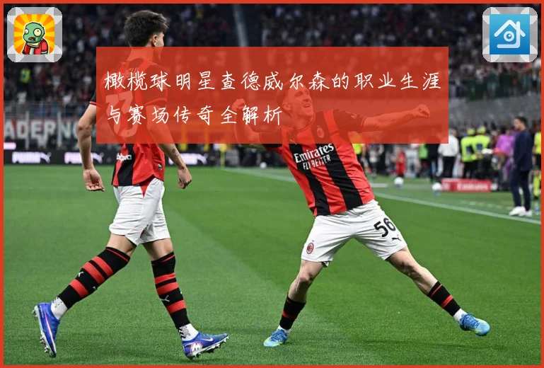 橄榄球明星查德威尔森的职业生涯与赛场传奇全解析