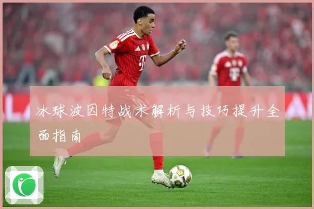 冰球波因特战术解析与技巧提升全面指南