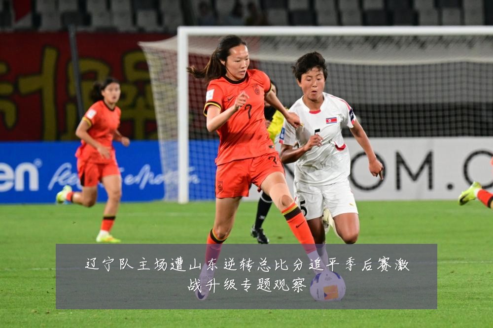 辽宁队主场遭山东逆转总比分追平季后赛激战升级专题观察